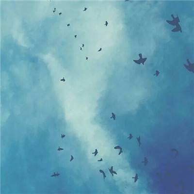 AG大厅网址手机app下载