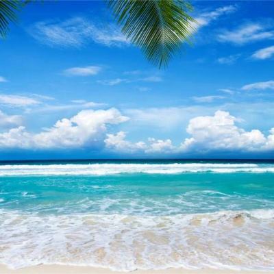 周公解梦_免费原版周公解梦大全查询 - 古途解梦官网