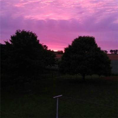 金沙威尼斯(wns)欢乐娱人城截图