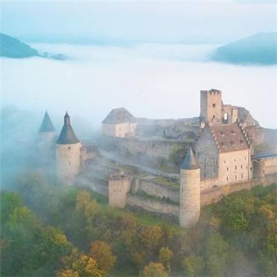 OB官网登录入口